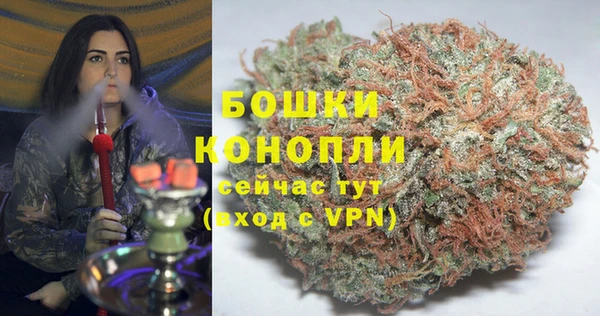 apvp Козельск