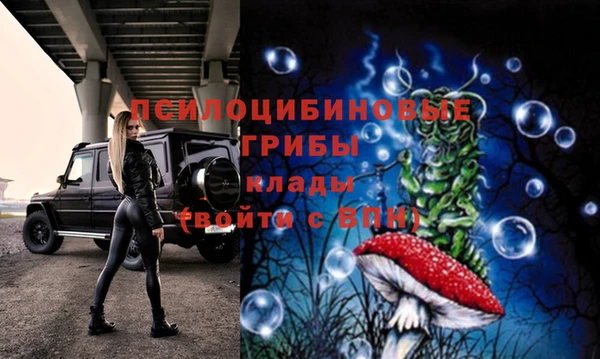 дурь Козловка